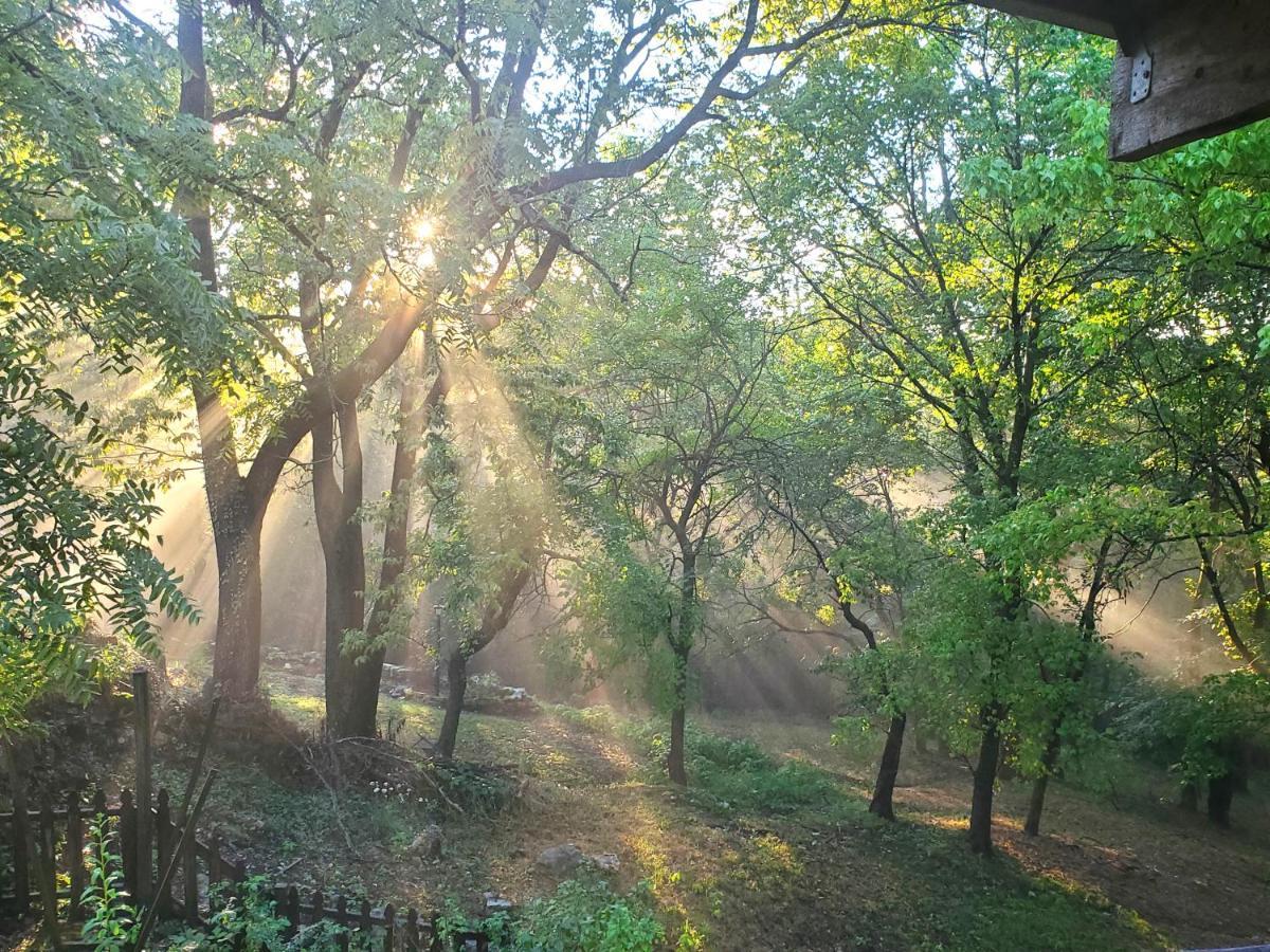 5 Ojo 4* Eureka Springs